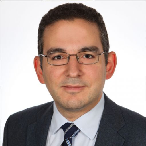 Stelios Koutnatzis