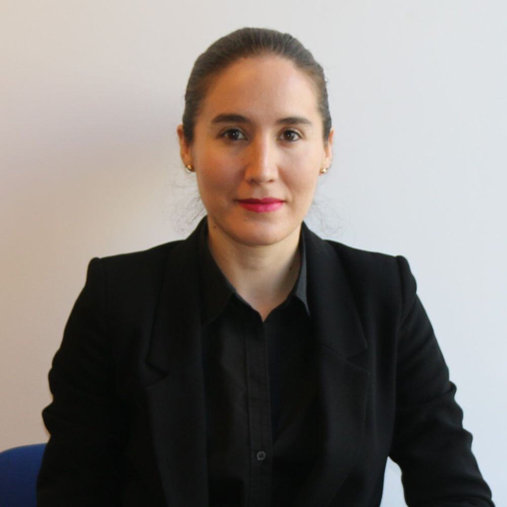 Vlatka Katusic