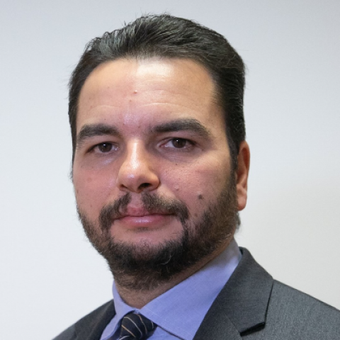 Dimitrios Pefanis