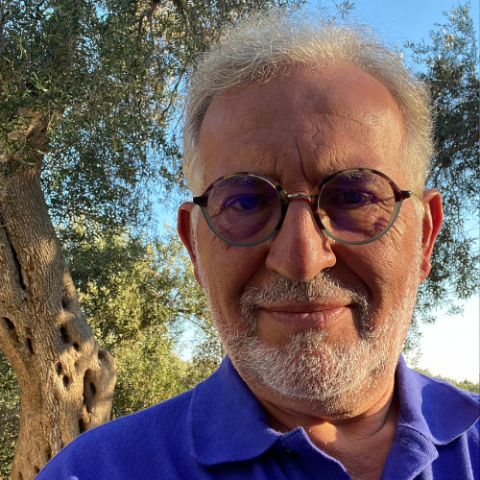 Dimitris Karagiannis
