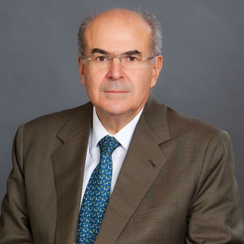 Vassilios Skouris