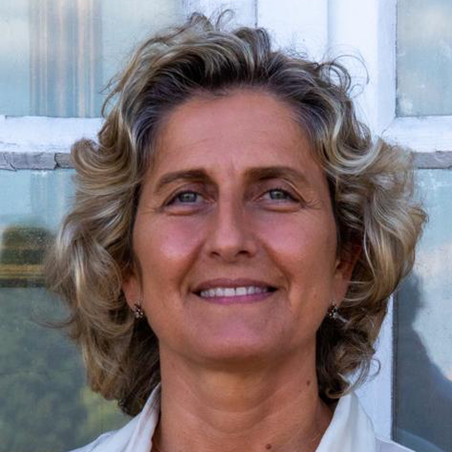 Ana Abrunhosa 