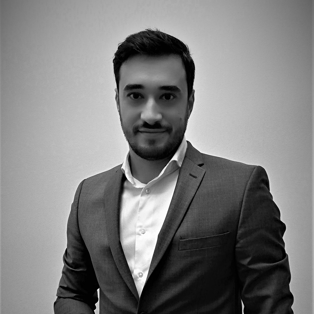Andrei Geica